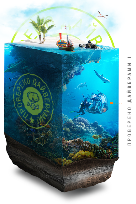 Добро пожаловать в обновленный магазин!