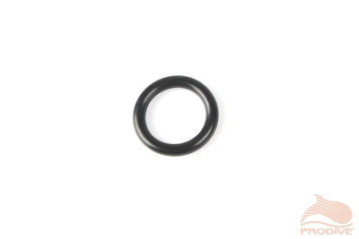 O-ring
