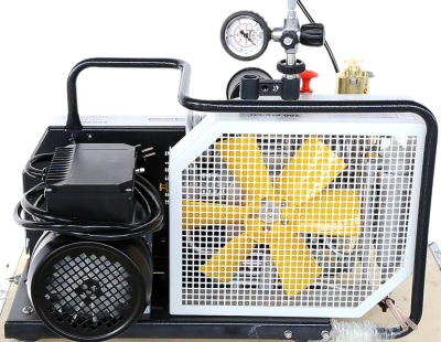 Компрессор Барос-100 Э, электр.двигатель