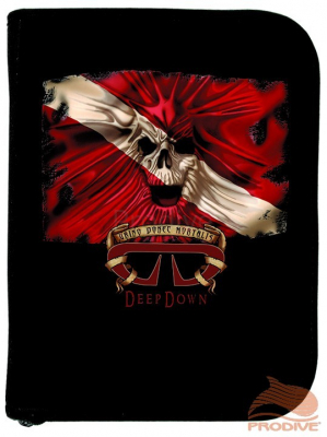 Папка под логбук ISC